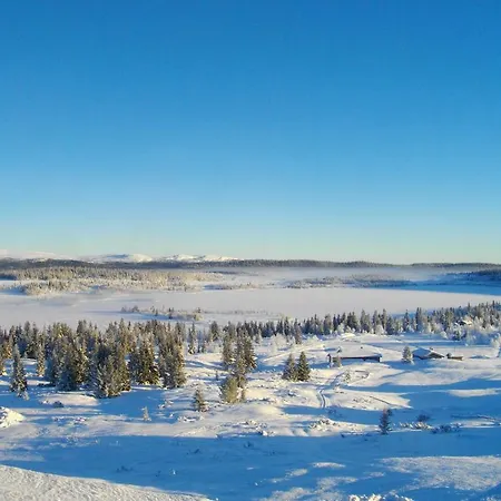 Hornsjo Fjellhotel ホテル ハーフィエル