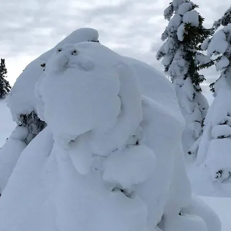 Hornsjo Fjellhotel ホテル 2*
