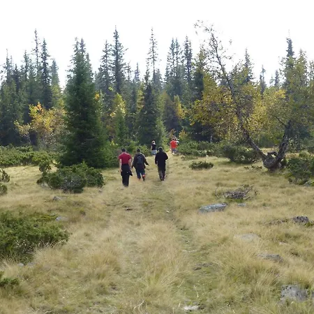 Ξενοδοχείο Hornsjo Fjellhotel