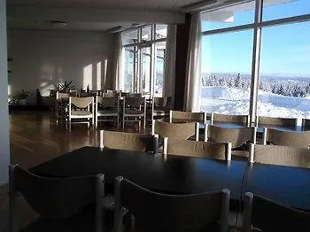 Hornsjo Fjellhotel 2*