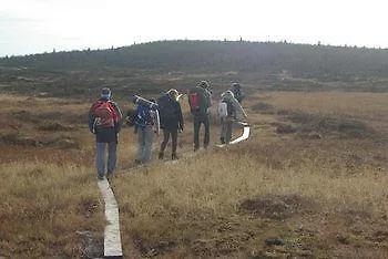 Ξενοδοχείο Hornsjo Fjellhotel Hafjell