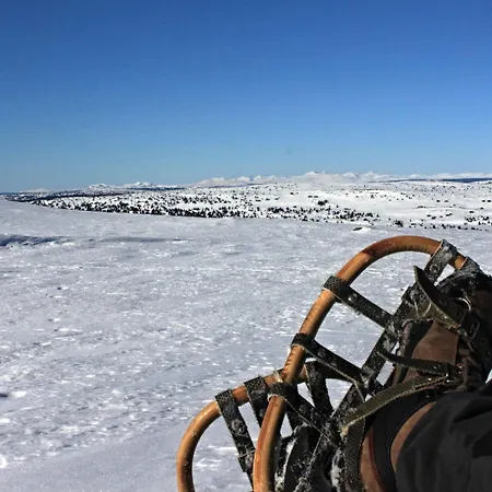 Ξενοδοχείο Hornsjo Fjellhotel 2*