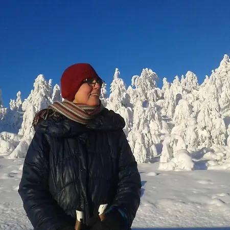 Ξενοδοχείο Hornsjo Fjellhotel