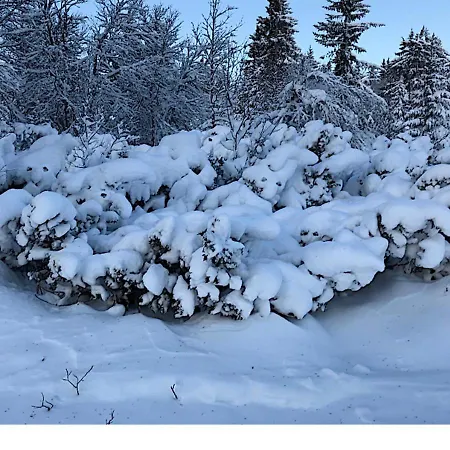 Hornsjo Fjellhotel Ξενοδοχείο 2*